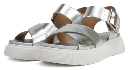 CARTER-S Silver Soda-3