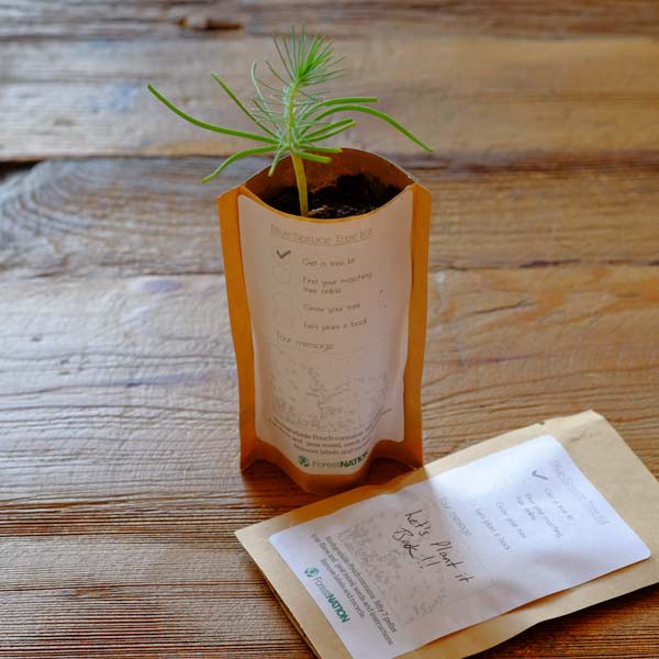 Happy Valentine's Day Tree Pouch-1