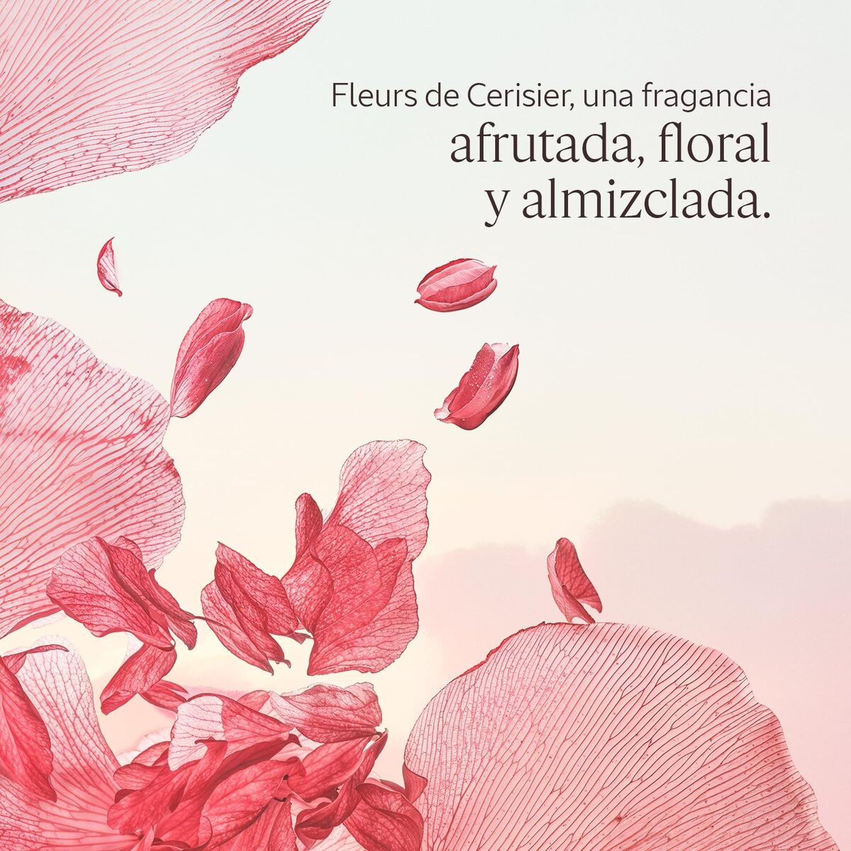 Body Lotion L'Occitane En Provence FLEURS DE CERISIER-3