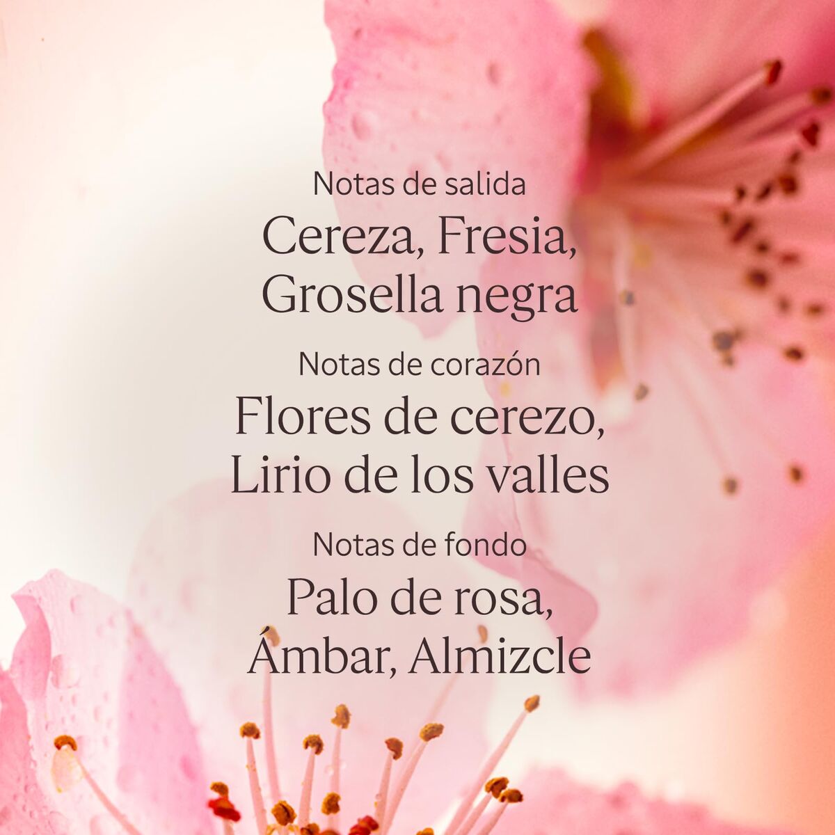 Body Lotion L'Occitane En Provence FLEURS DE CERISIER-2