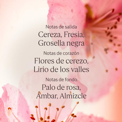 Body Lotion L'Occitane En Provence FLEURS DE CERISIER-2