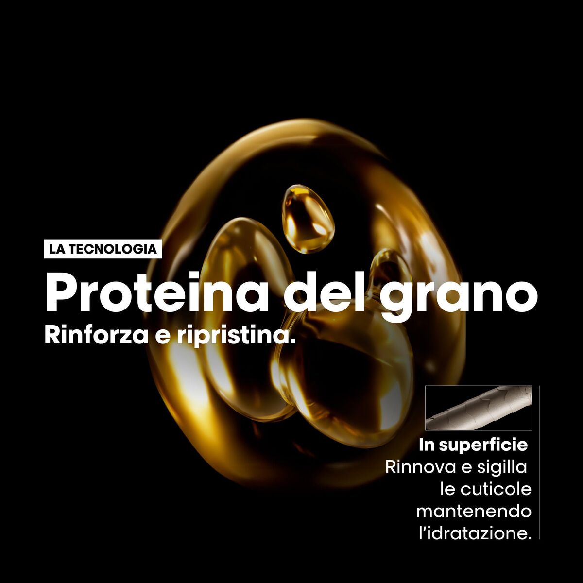 Hair Dressing Set L'Oreal Professionnel Paris ABSOLUT REPAIR 2 Pieces-1