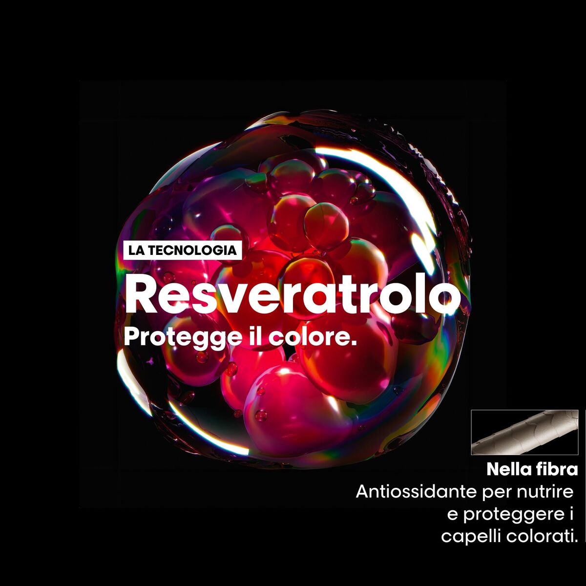 Hair Dressing Set L'Oreal Professionnel Paris VITAMINO COLOR 2 Pieces-1