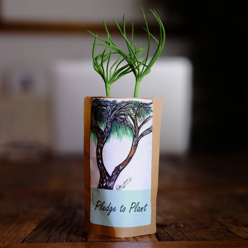 Australian Gum Tree by N'dene-0