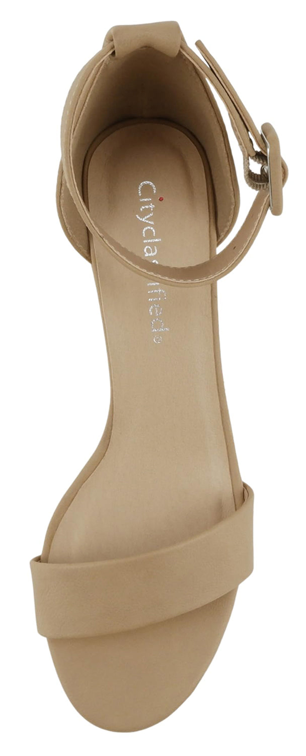 CAKE-S Natural NBPU CityClassified-4