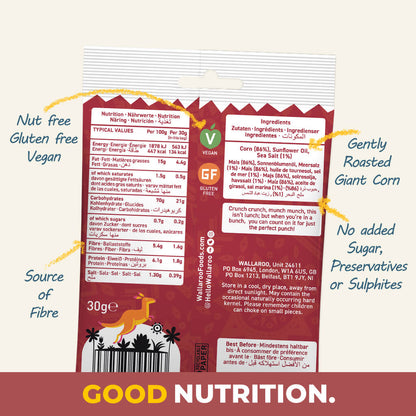 Tasting Bundle - Roasted Giant Corn Kernels - Sea Salt-3