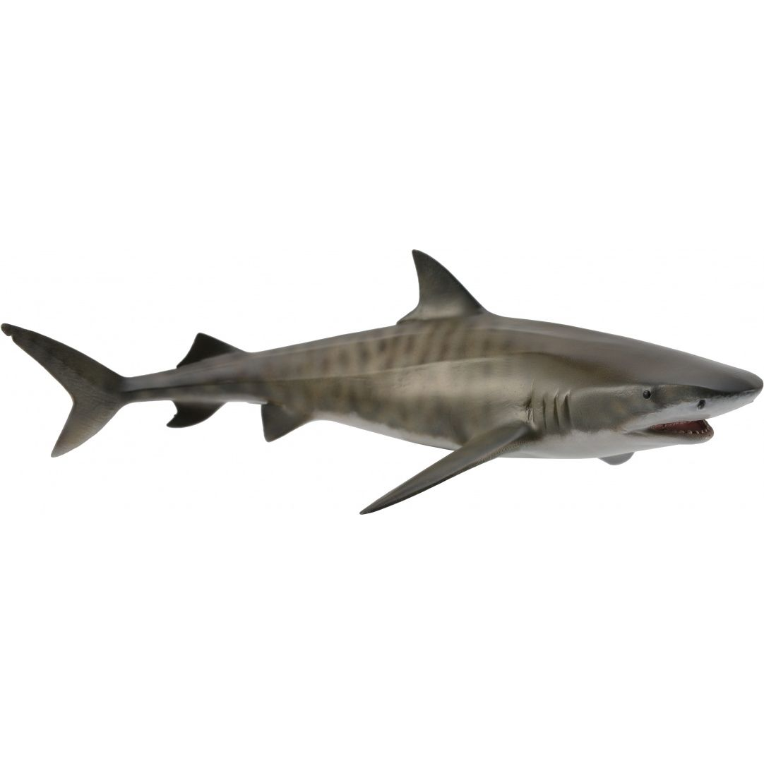 Figurka Collecta Rekin tygrysi (004-88661) (004-88661)-0