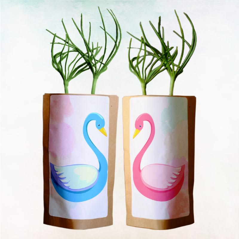 Gift Us a Forest – 200 Trees to Celebrate Our Love – “Swan Love”-0