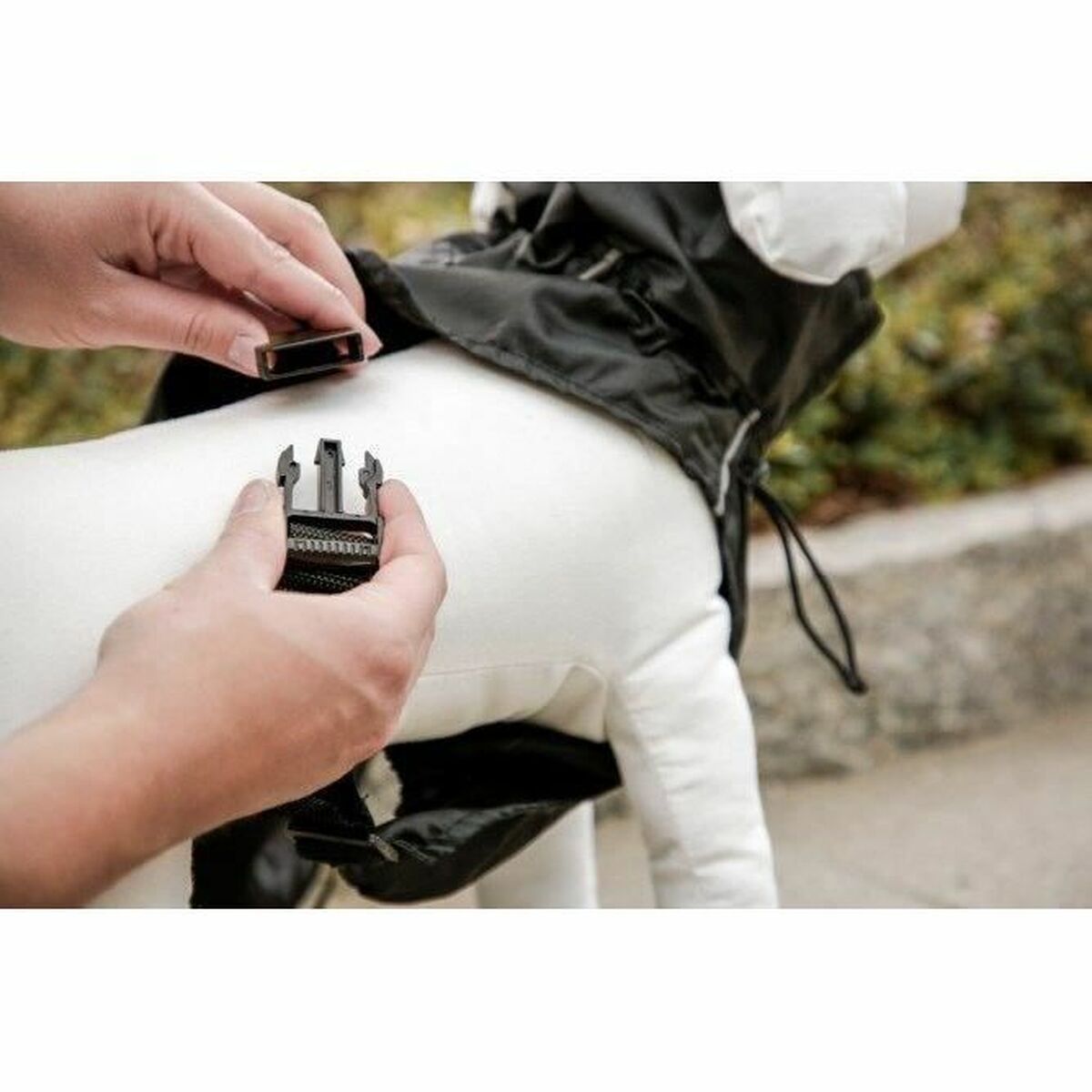 Dog raincoat Kerbl Black M-1