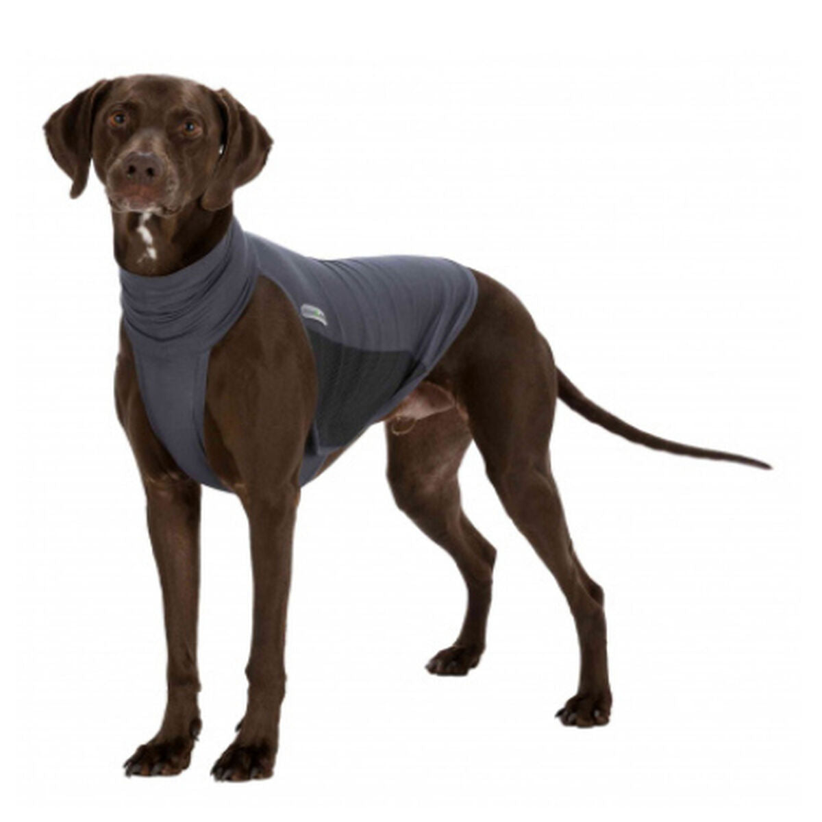Dog Waistcoat Trixie Grey S-2