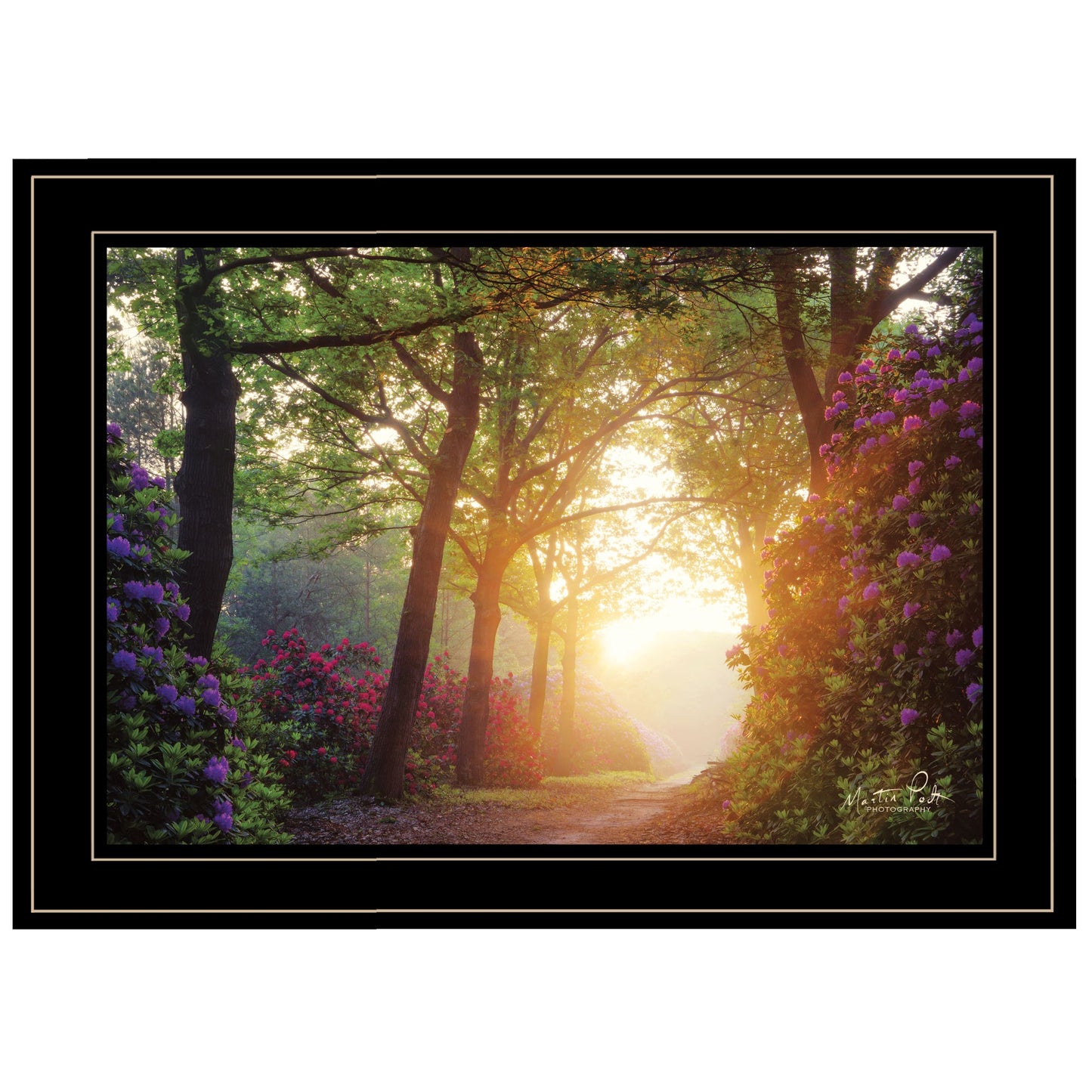 Color Overdose 2 Black Framed Print Wall Art-1