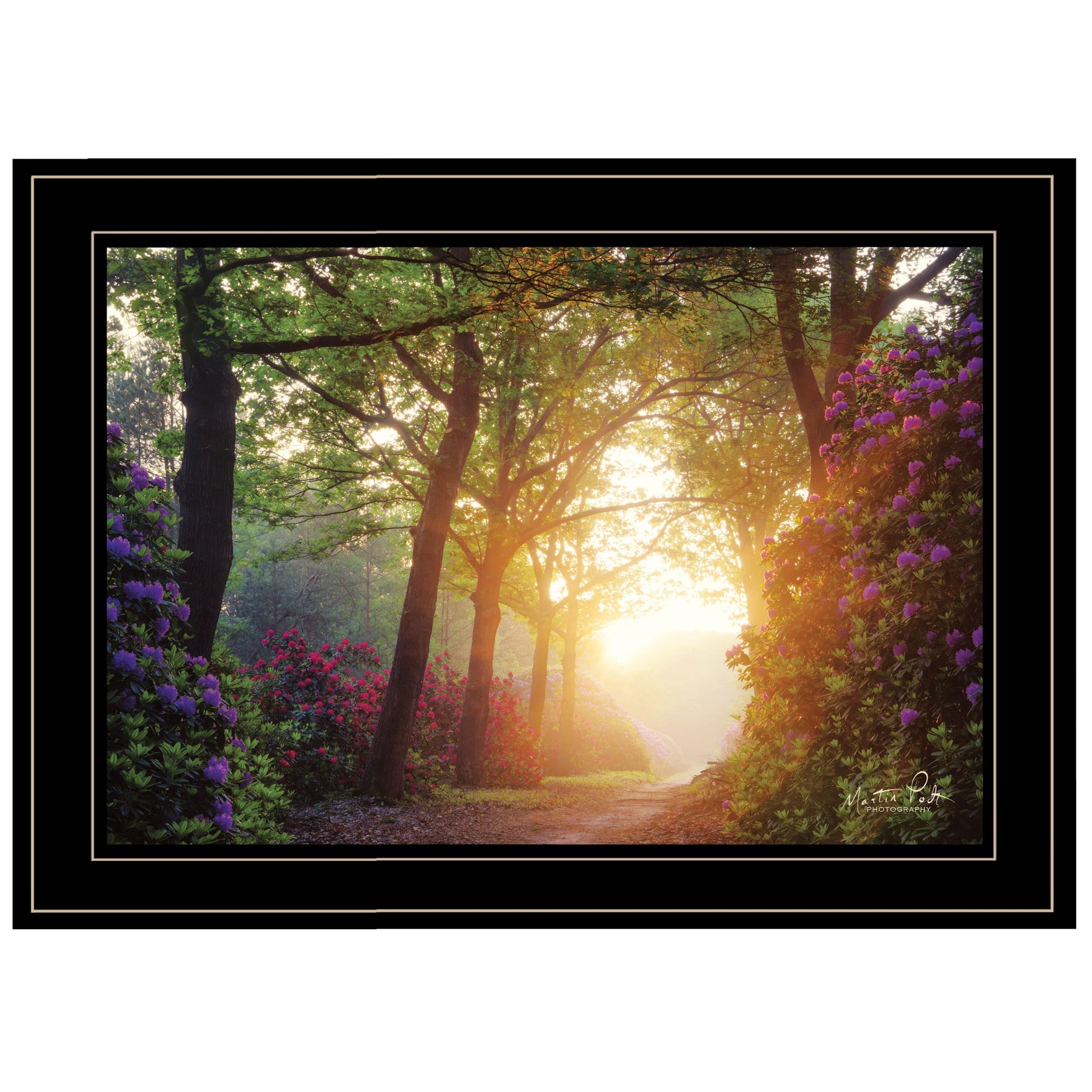 Color Overdose 2 Black Framed Print Wall Art-1
