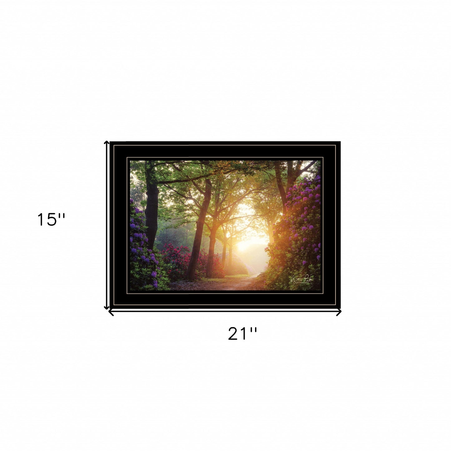 Color Overdose 2 Black Framed Print Wall Art-5