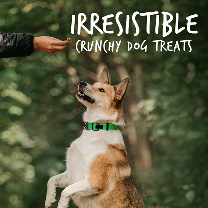 Fruitables Pumpkin & Apple Mix Dog Treats (8x7 Oz)-3