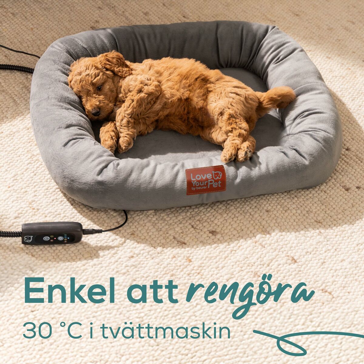 Jet Wash Beurer PP250 KIRA Grey-6