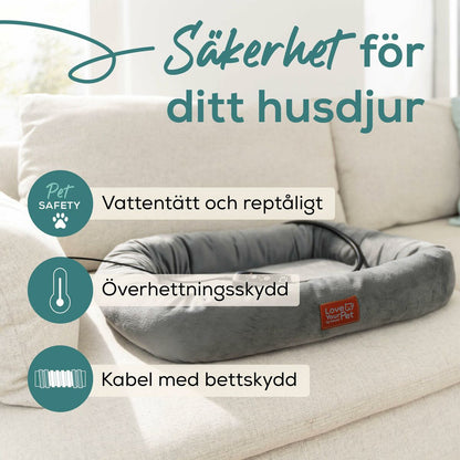 Jet Wash Beurer PP250 KIRA Grey-3