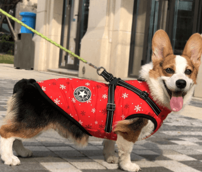Winter Wonderland Pet Hooded Coat - Stylish And Warm Dog Jacket For Small Breeds-10