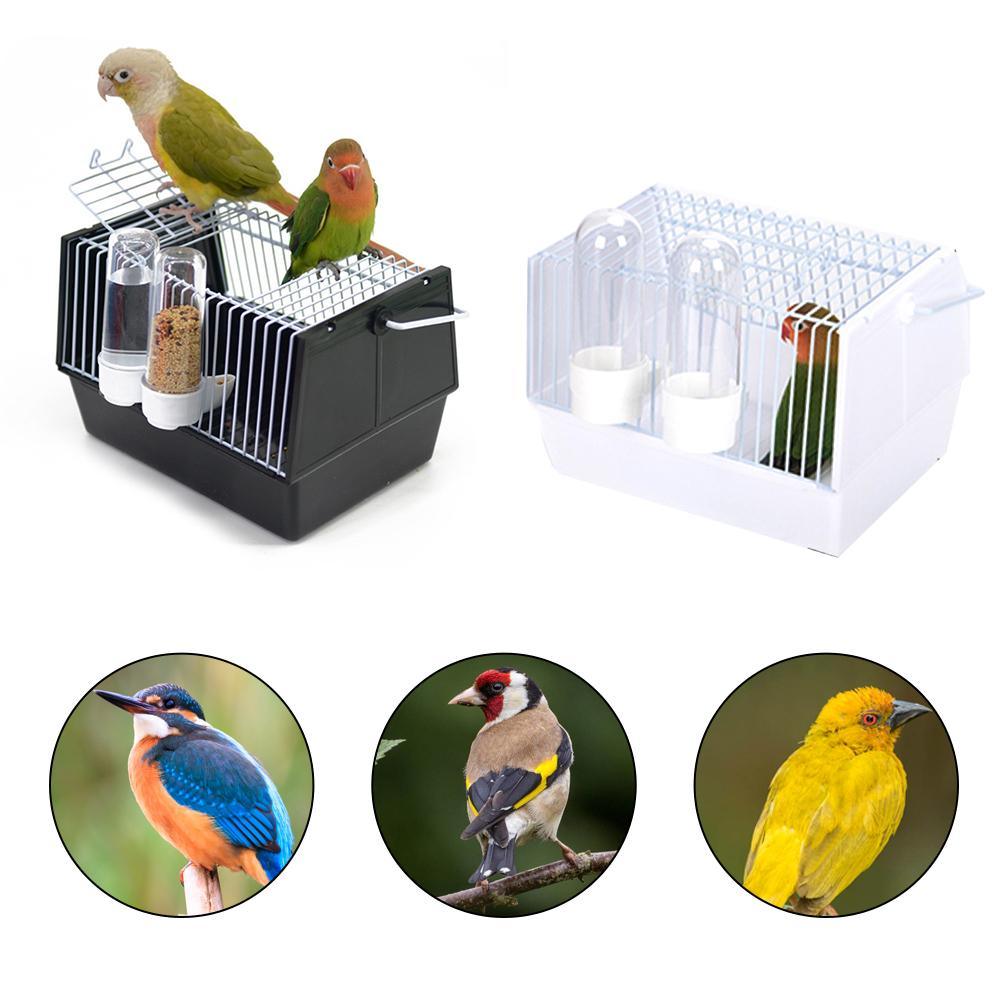 Flyaway Bird Carrier-3