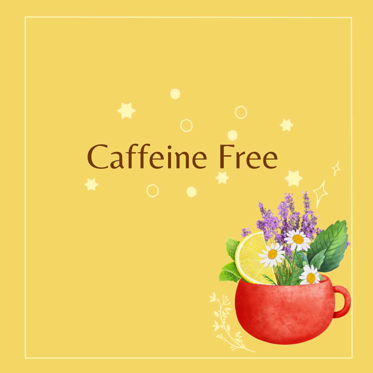 CS CHAMOMILE TEA (6x20.00)-6