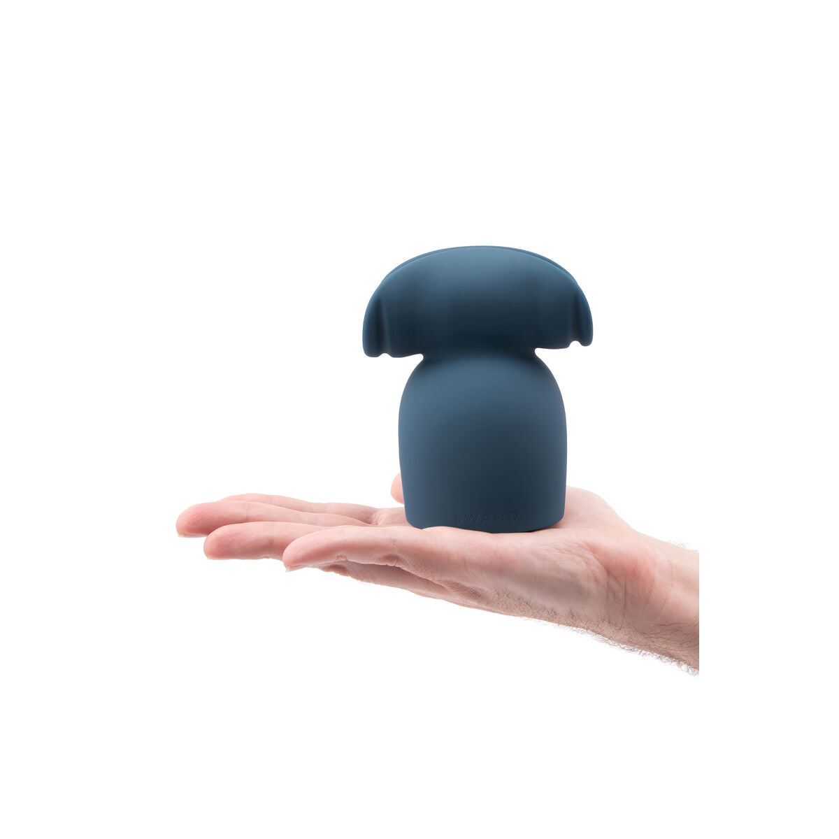 Current Adaptor Le Wand-9