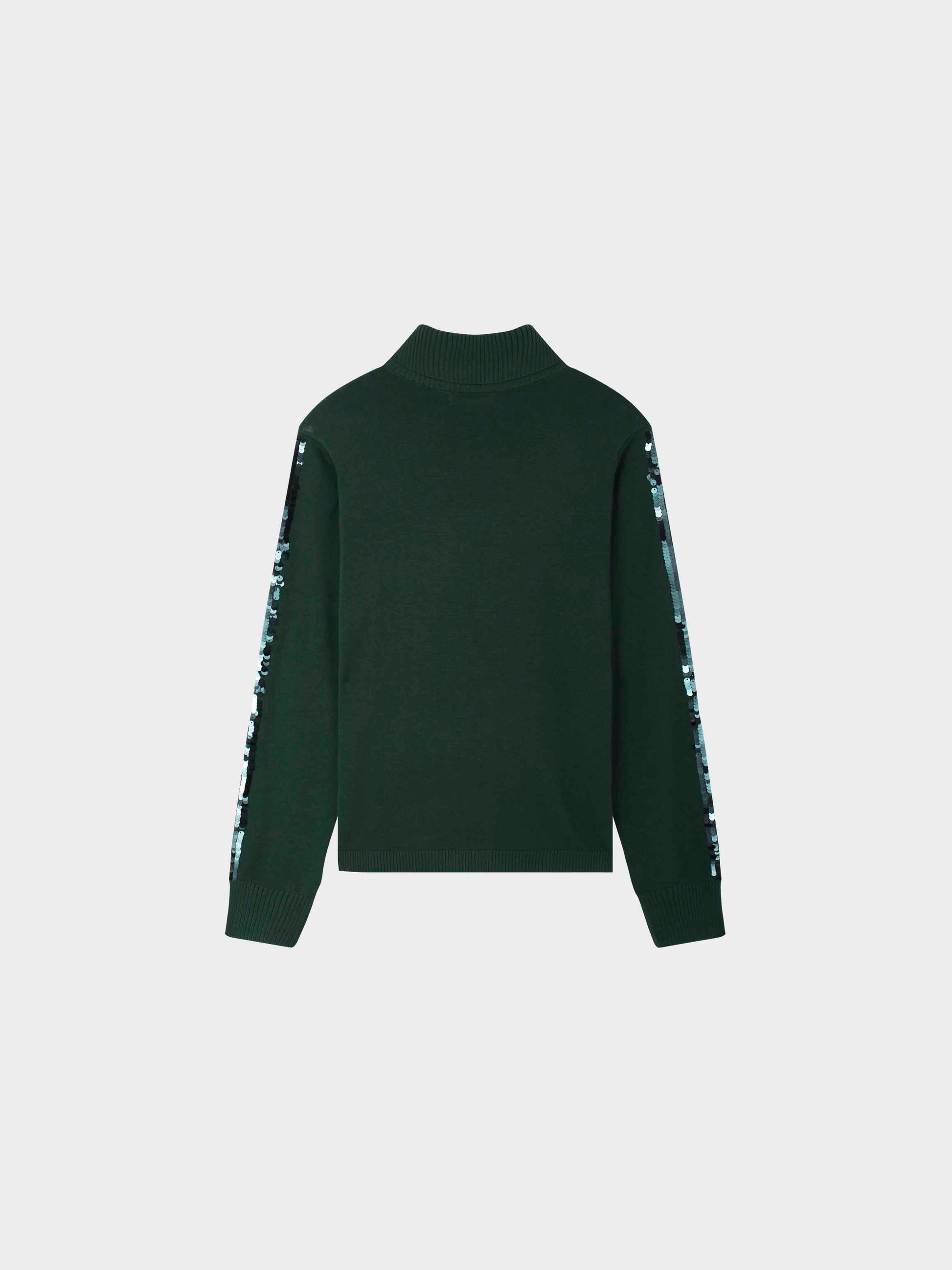 Sequin Trim Sweater-Green-2