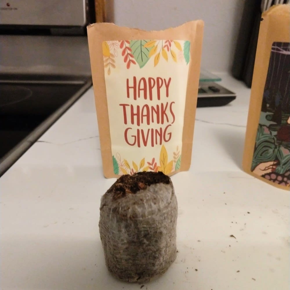 Happy Thanksgiving Greeting-1