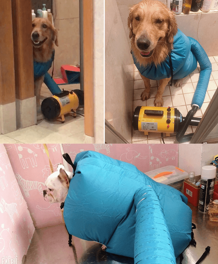 Quickdry Pet Hair Drying Bag-1