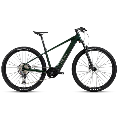 EM5 2025 - ELECTRIC ALLOY BIKE-0
