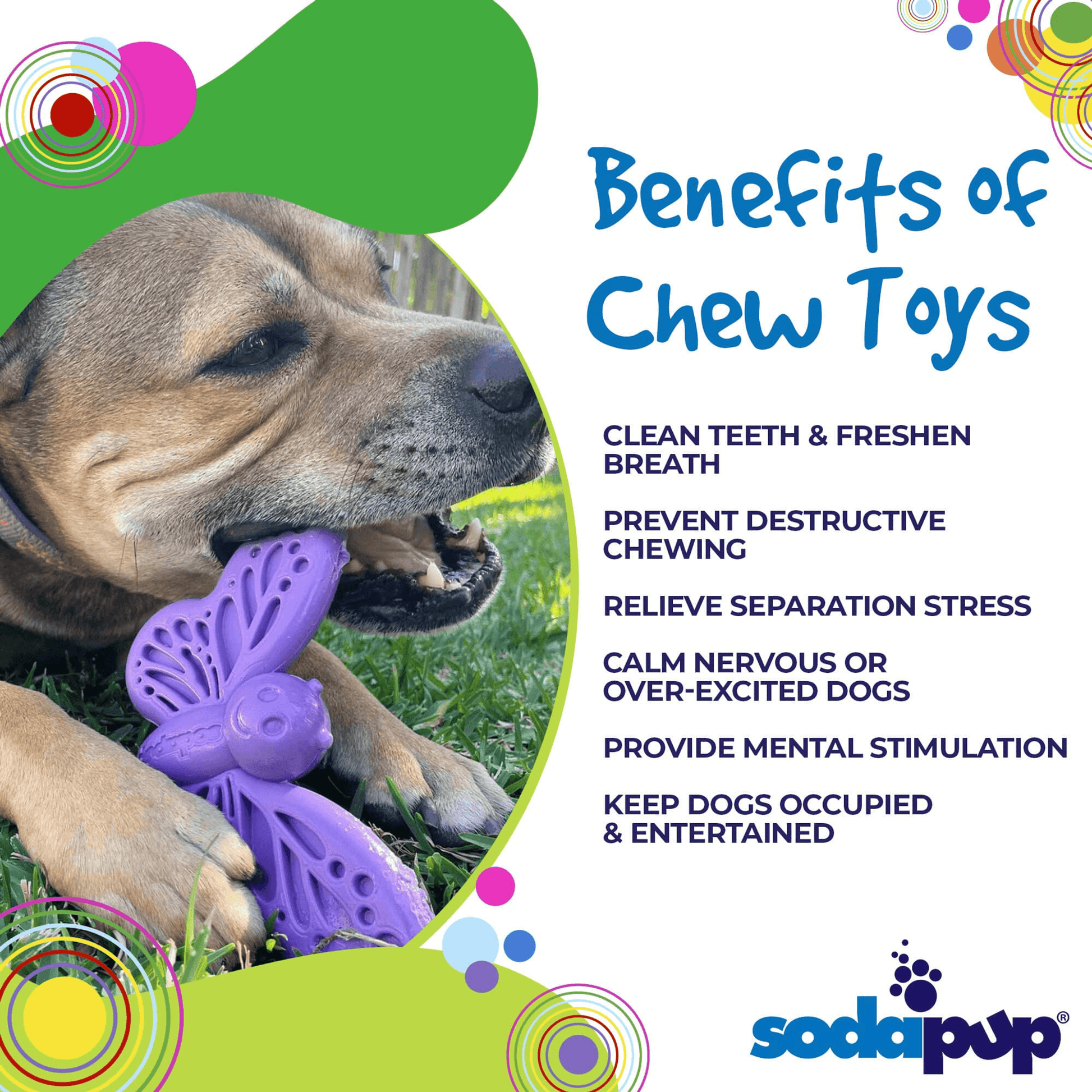 SP Butterfly Peanut Butter Chew & Enrichment Toy for Dogs-4