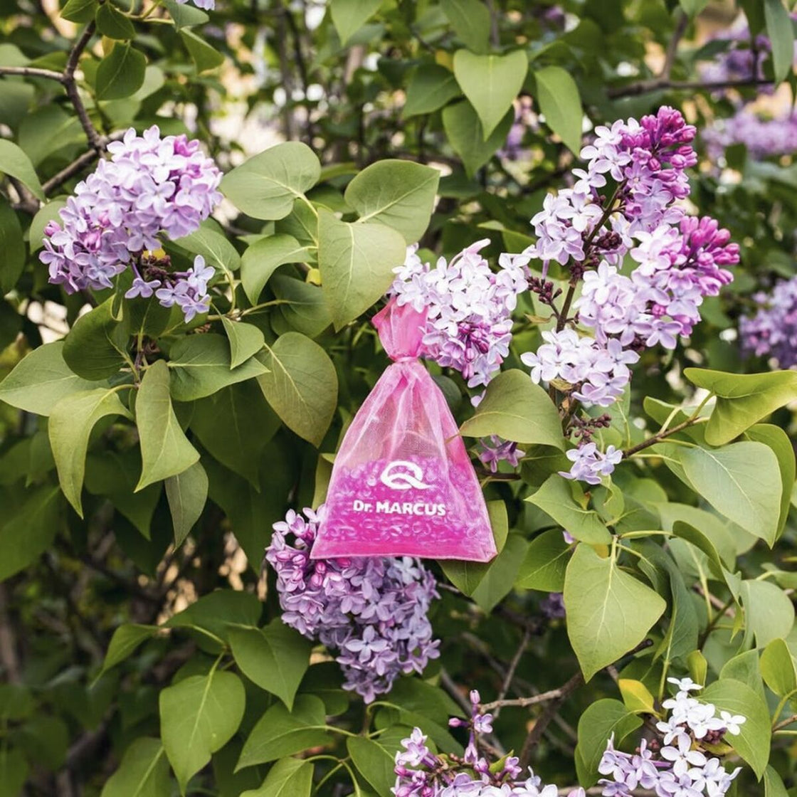 Car Air Freshener Dr Marcus Fresh Bag Chewing gum Fragrance Small bag-3