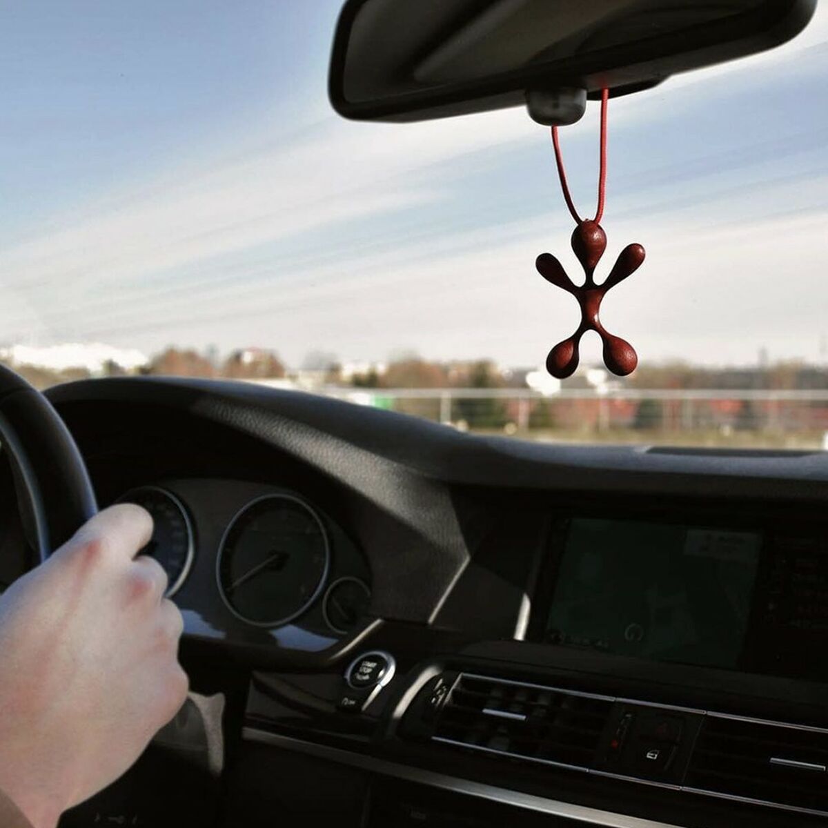 Car Air Freshener Dr Marcus Lucky Top Cedarwood Plastic Fragrance Pendant (12 Units)-5