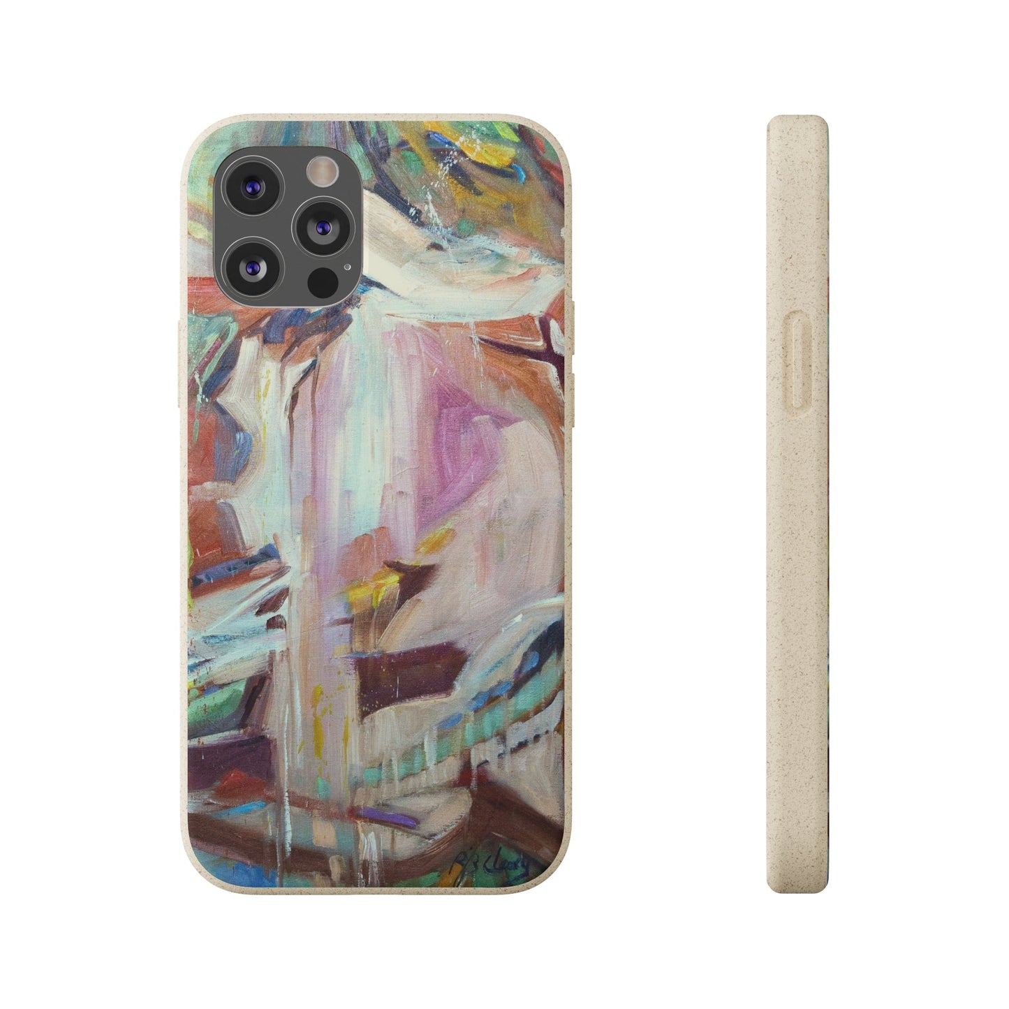Biodegradable Phone Case with 'All Seasons' Abstract Original Artwork by Barbara Cleary-29