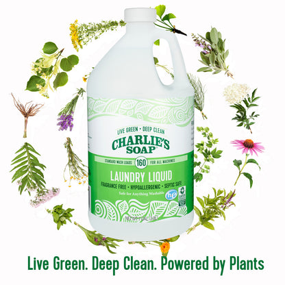 Charlies Soap Laundry Liquid Gel (4x128OZ )-4