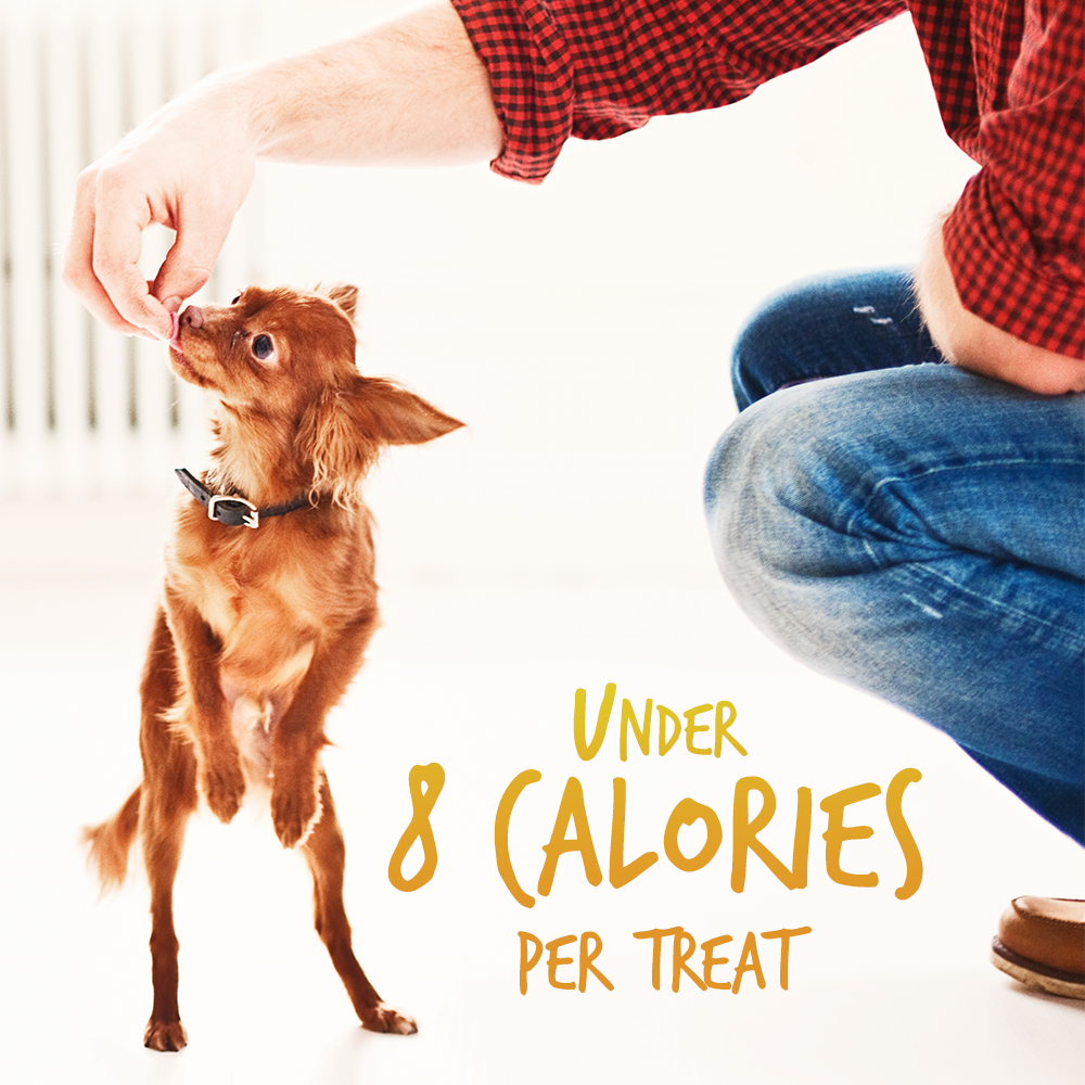 Fruitables Pumpkin & Banana Mix Dog Treats (8x7 Oz)-2