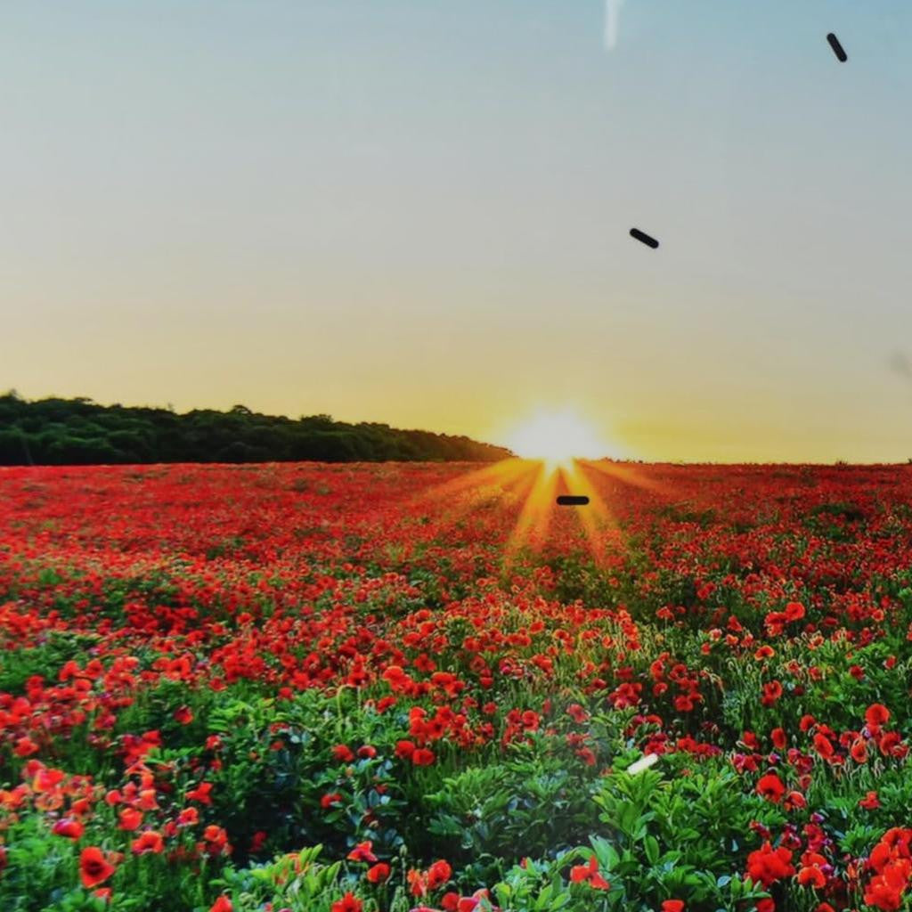 24" Red Blue And Gold Solid Wood and Acrylic Silent Poppies Floral Wall Clock-6