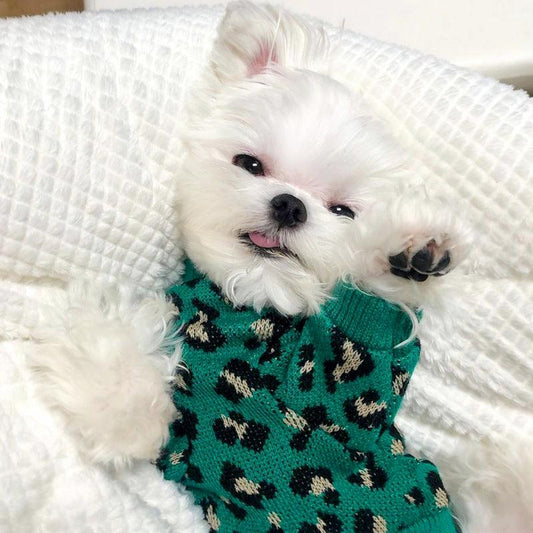 Leopard Chic Knitted Sweater For Small Dogs - Stylish Pet Apparel-0
