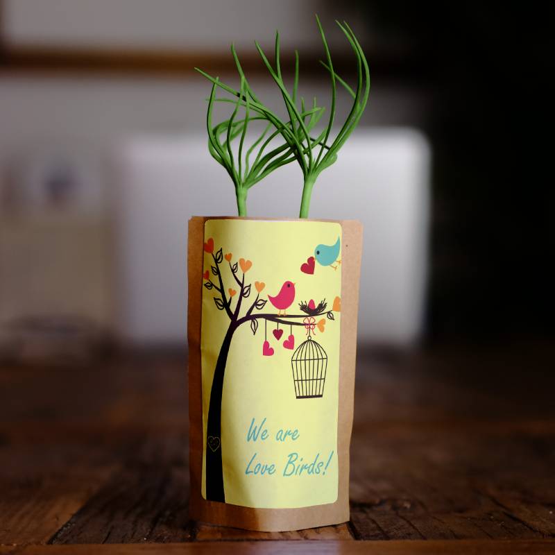 Gift Us a Forest – 200 Trees to Celebrate Our Love – “We Are Love Birds”-0
