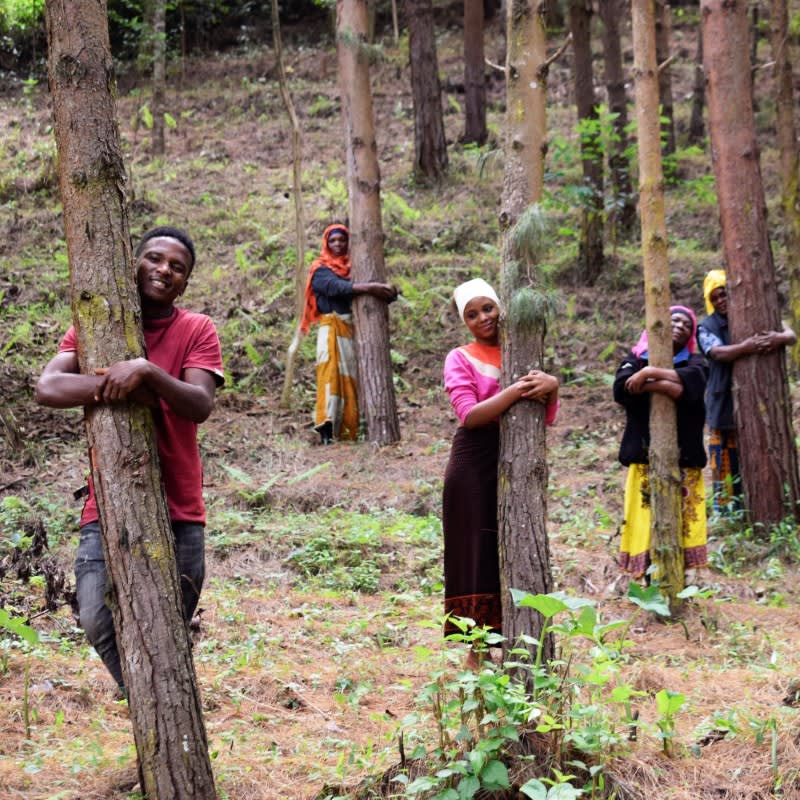 Forest Ambassador Tree Pouch, We Plant 200 More Trees-2