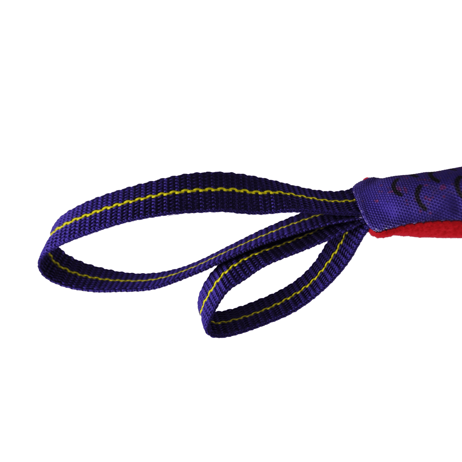 SoFISHTicated Flyin' Fish Dog Toy-4