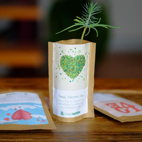 Happy Valentine's Day Tree Pouch-0