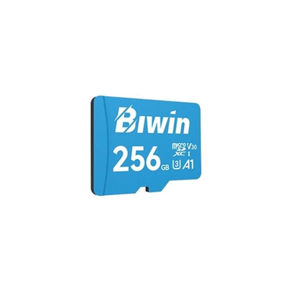 Memory Card Micro SDXC Biwin MS100 256 GB-0
