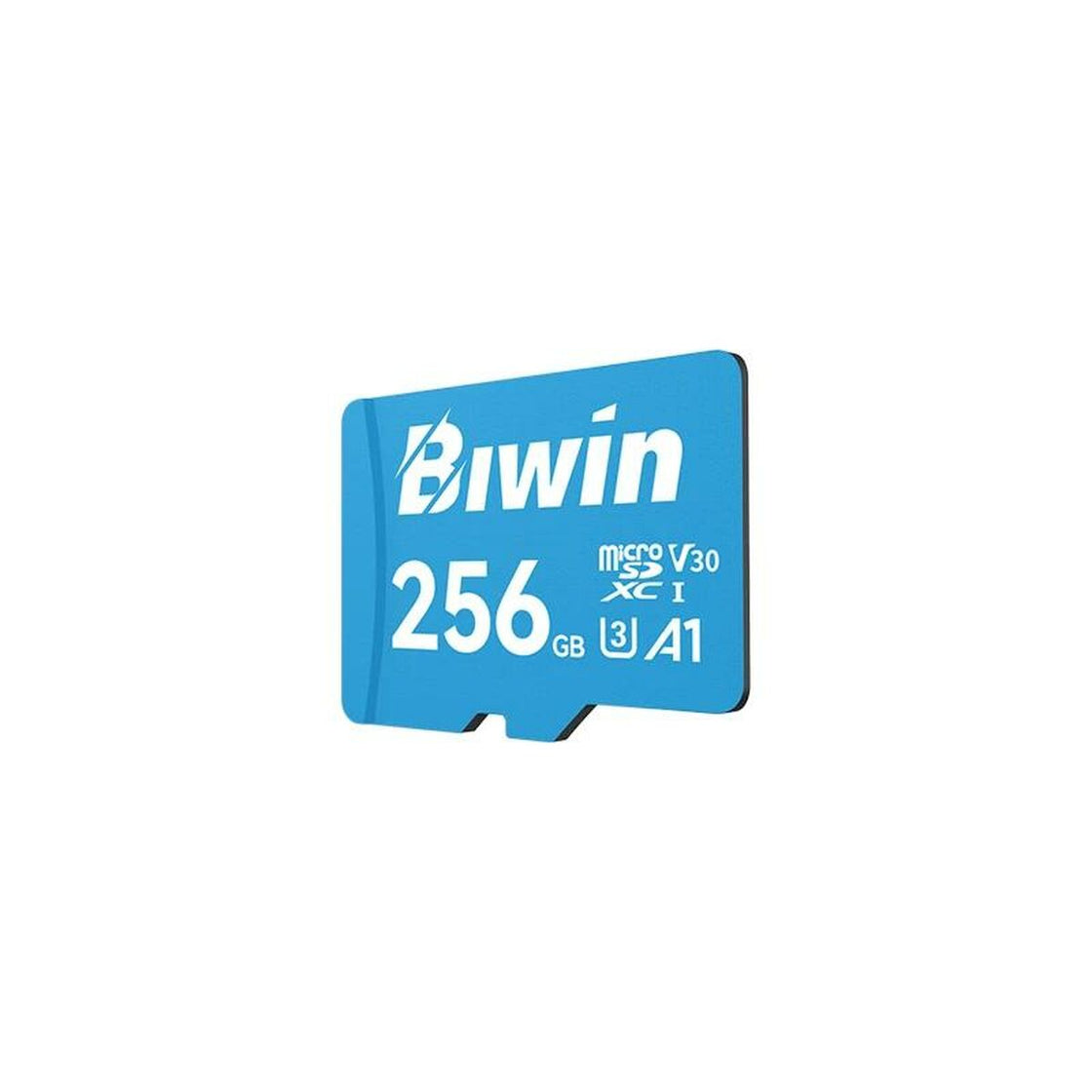 Memory Card Micro SDXC Biwin MS100 256 GB-3