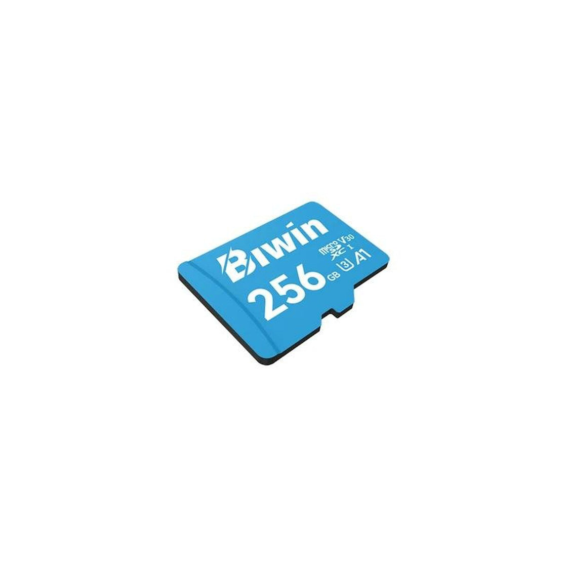 Memory Card Micro SDXC Biwin MS100 256 GB-2