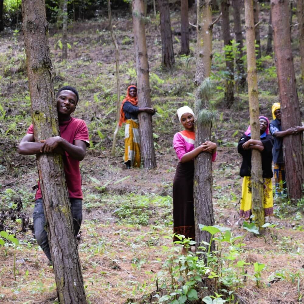 Happy Kwanzaa Candles Growing Kit-3