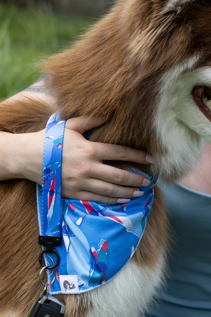 K9 Kayak Dog Bandana & Matching Keychain-1