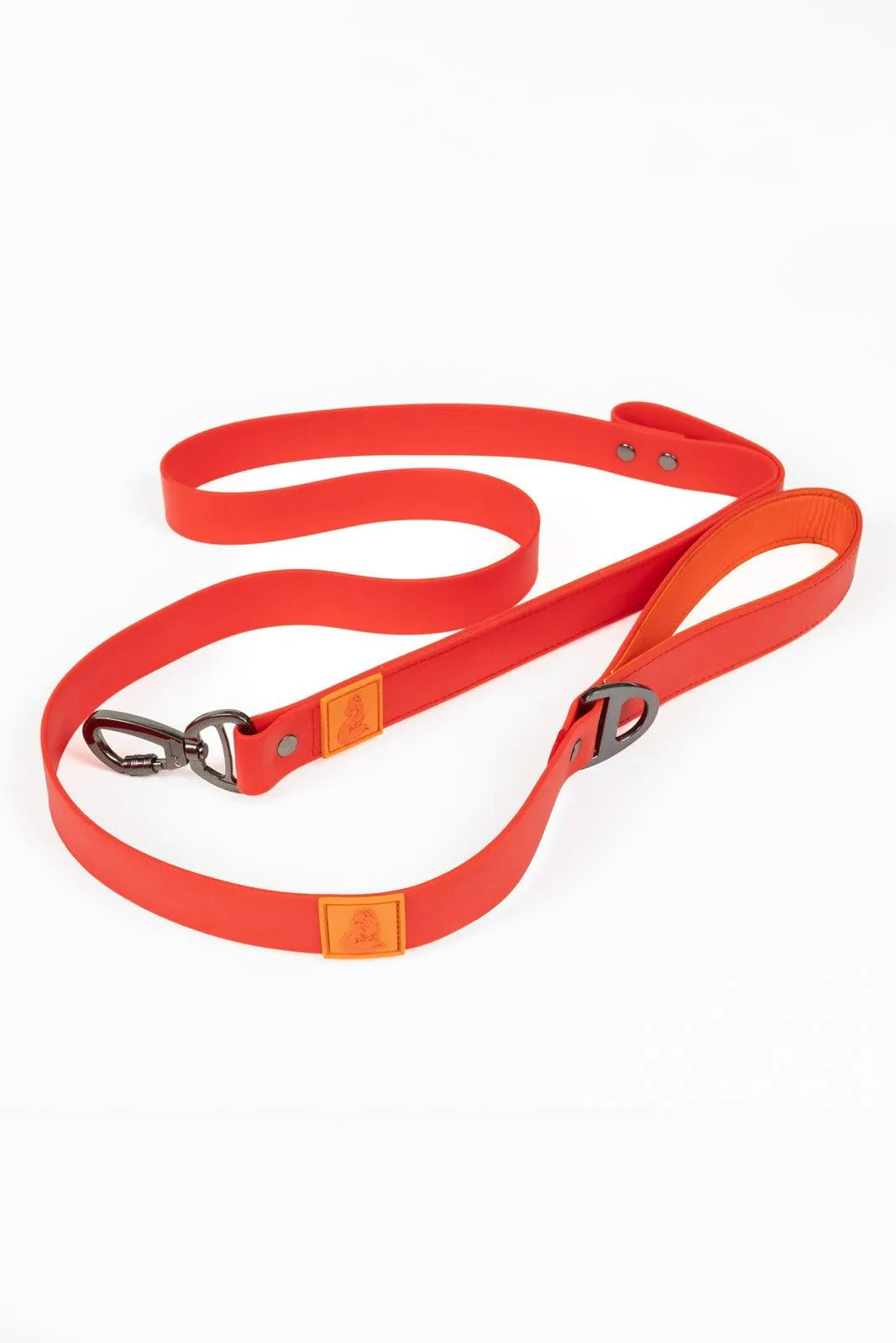 Scarlet Peaks Waterproof Leash-1