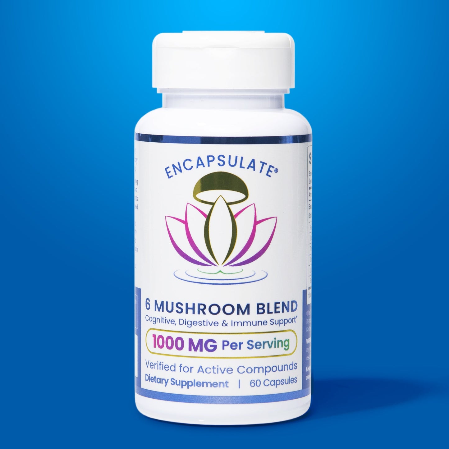 6 Mushroom Blend 1:1-0