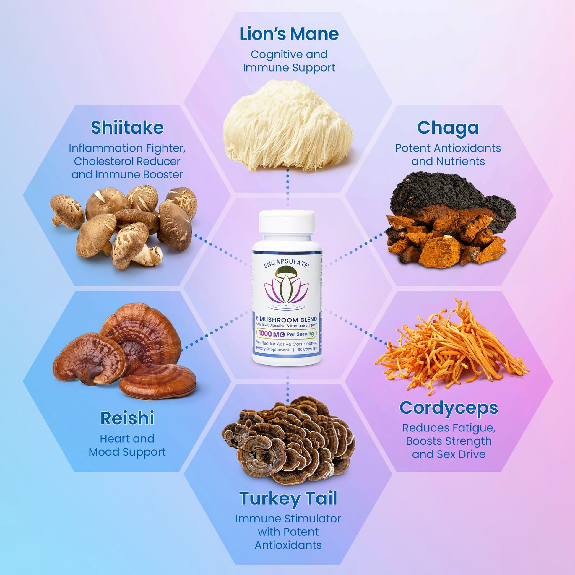 6 Mushroom Blend 1:1-1