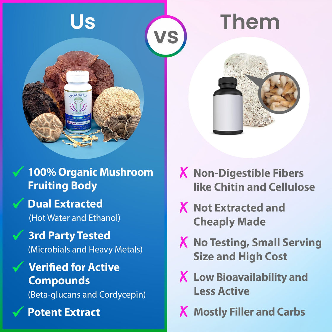 6 Mushroom Blend 8:1-3