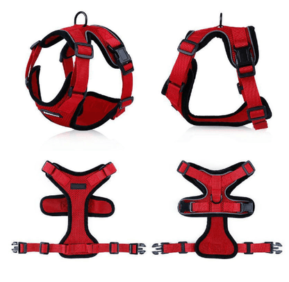 Escapeguard Cat Vest Harness And Car Seat Belt Adapter - Adjustable, Reflective, And Escape-Proof Harness For Cats And Small Dogs-13